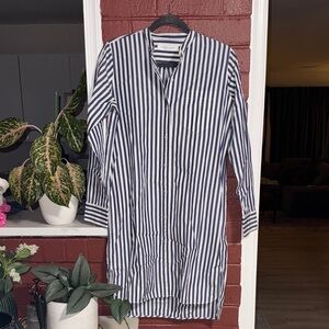 Everlane Blue and White Striped Long Sleeve Dress